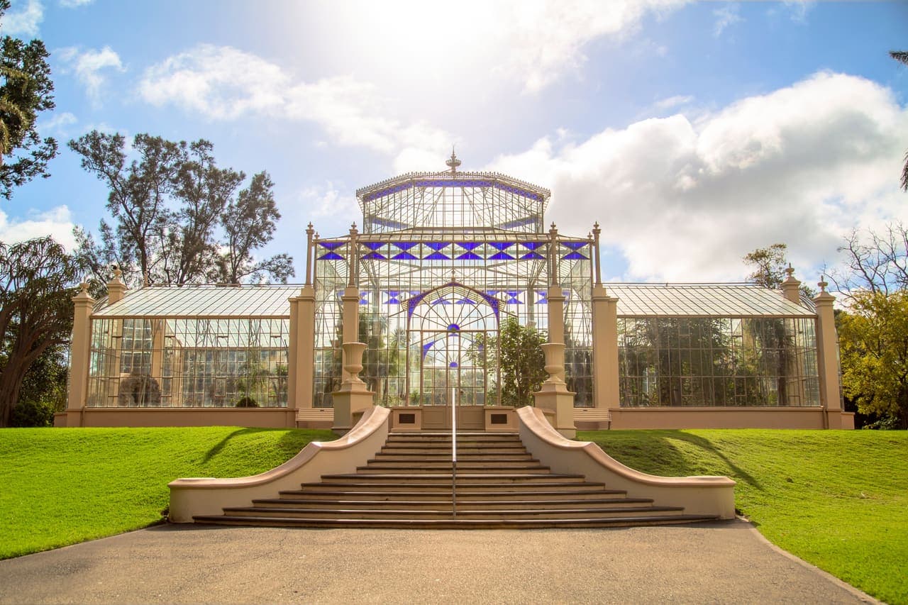 Adelaide Botanic Garden palm house