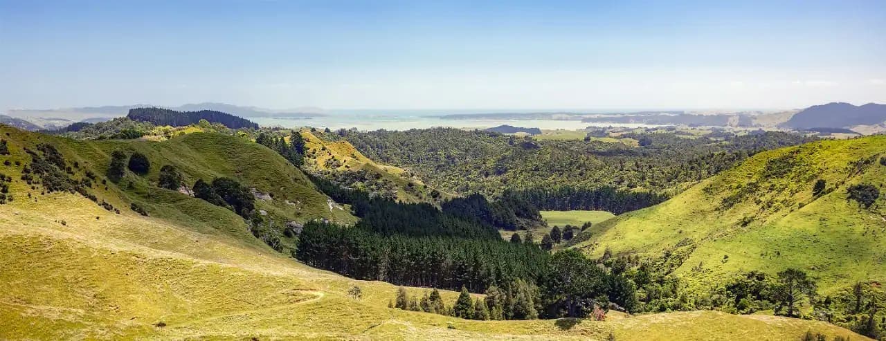 Gisborne