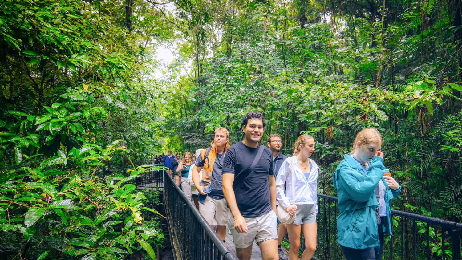 Travellers strolling through forest walkway in the Daintree, Australia