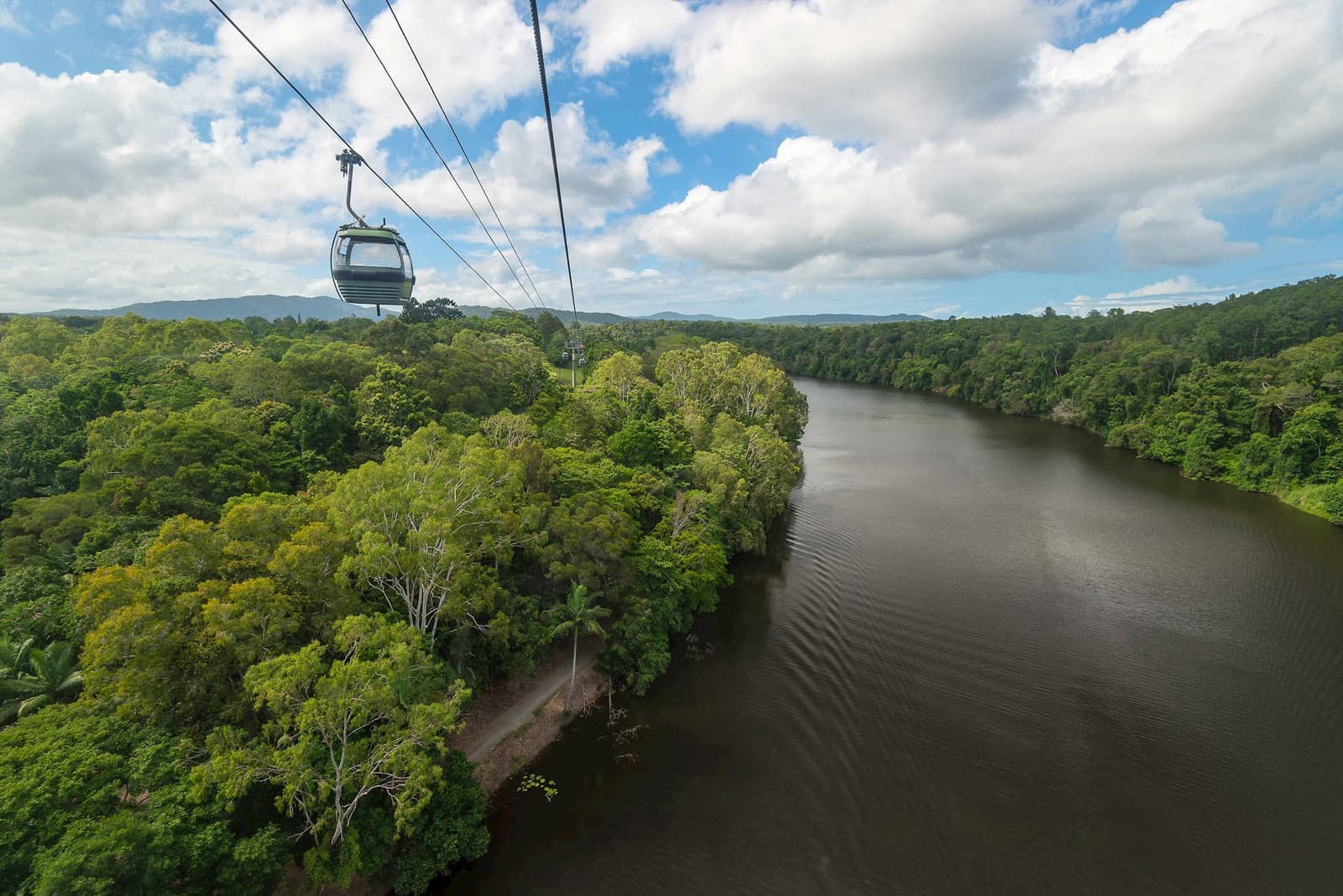 Skyrail Rainforest Cableway