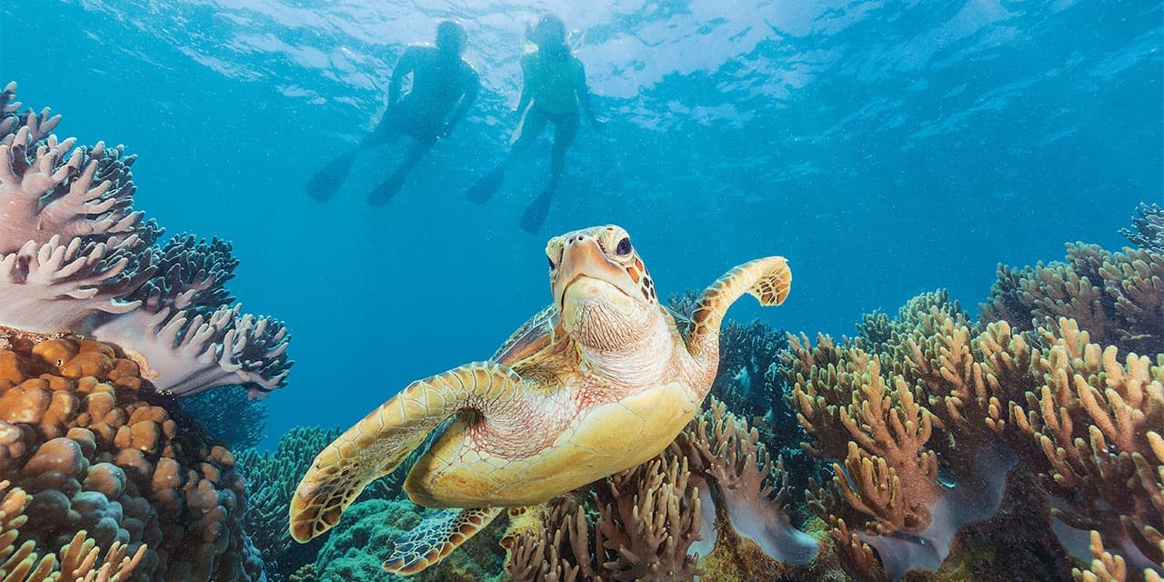 Great Barrier Reef