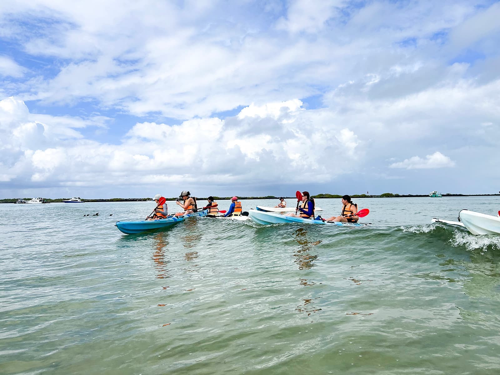 Group of travellers kayaking on Isabela Island, Ecuador