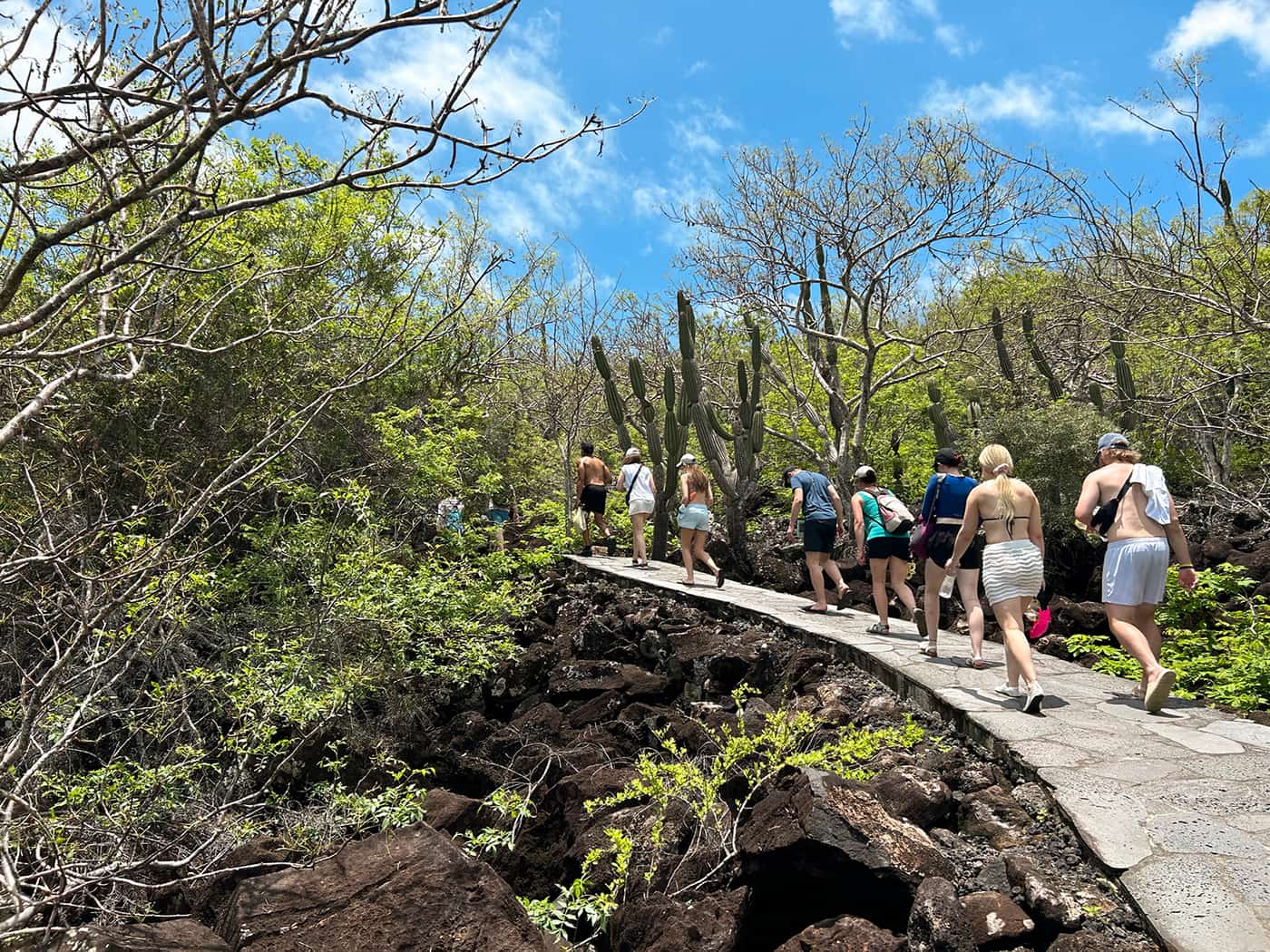 Group of travellers walking along a wooden pathway on San Cristobal Island, Ecuador