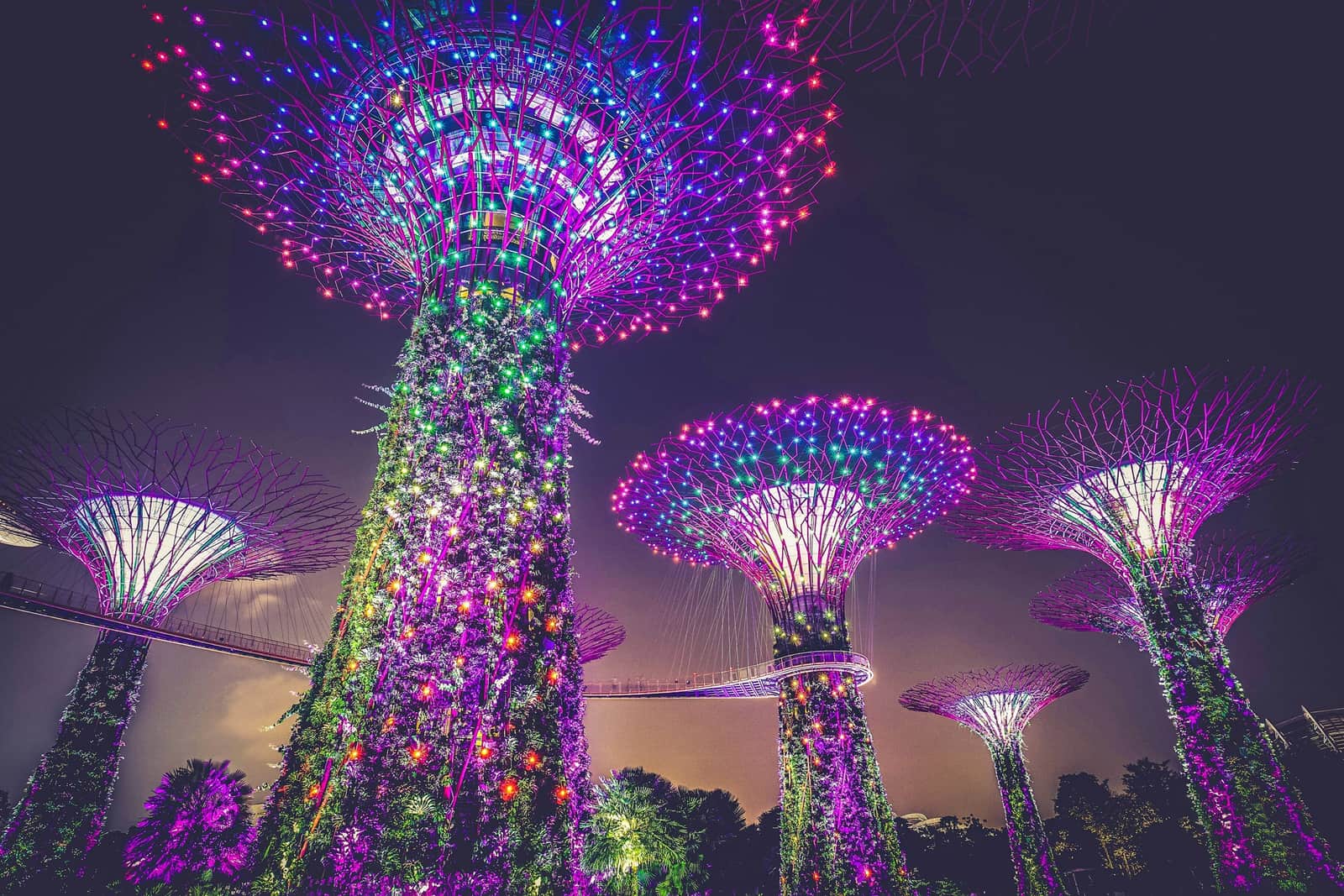 Flower dome at night Singapore, Malaysia