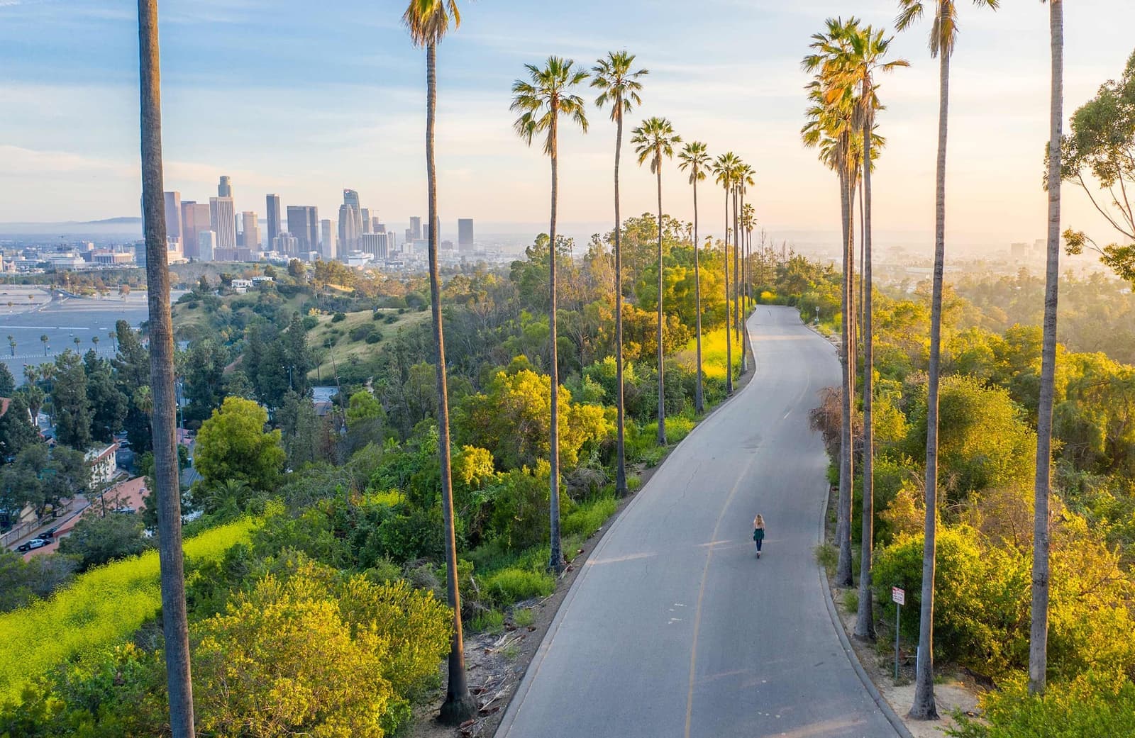 Palm Tree lined road heading to downtown LA, Los Angeles, California, USA