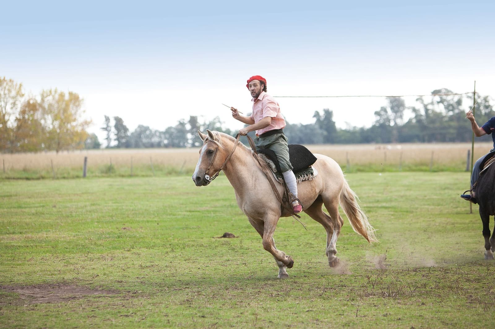 Gaucho Cowboy on Horse, Estancia, Argentina