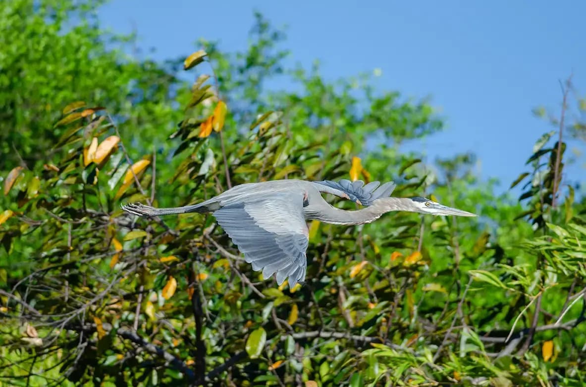 Visit Guanacaste Costa Rica