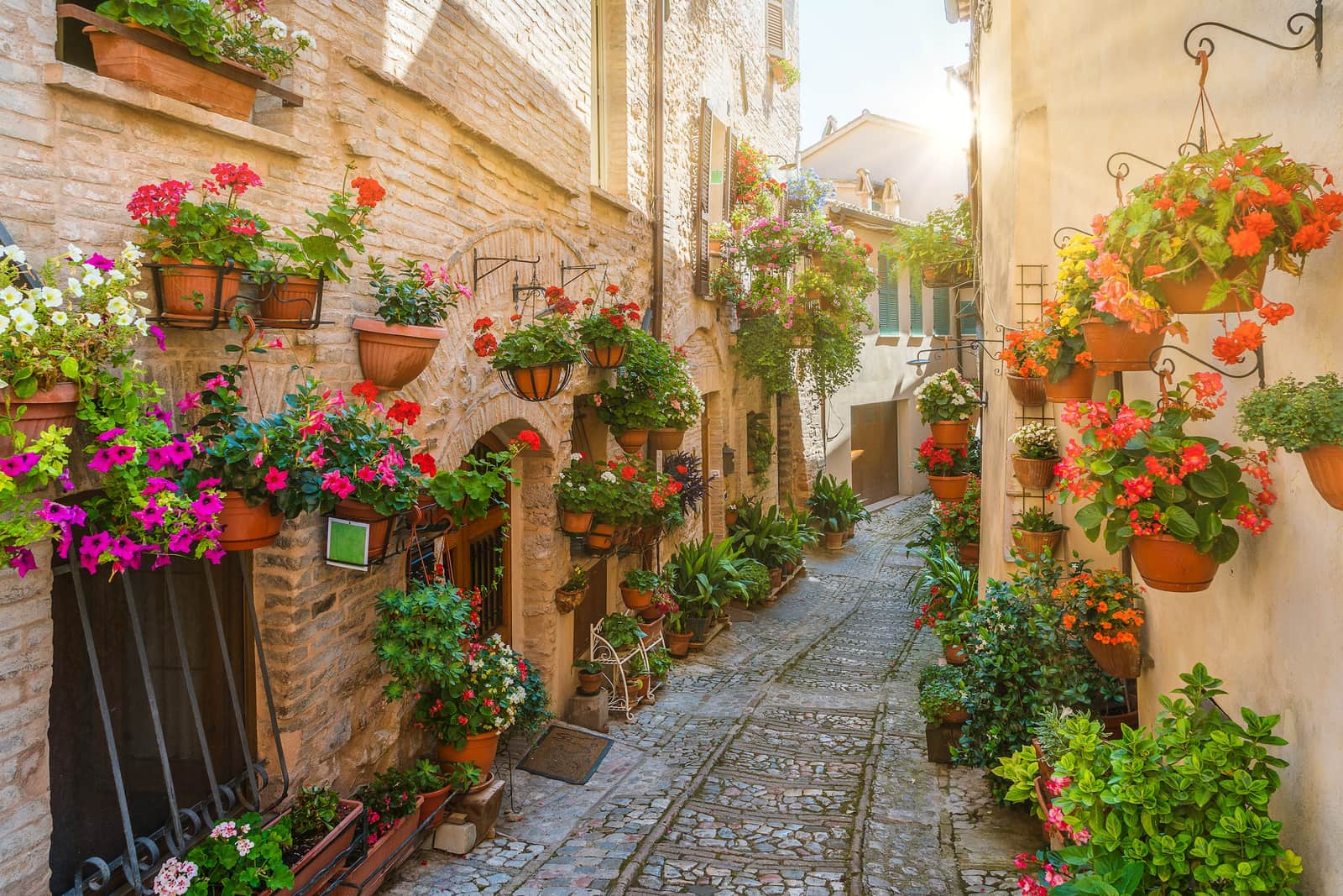 Spello, Province of Perugia, Italy