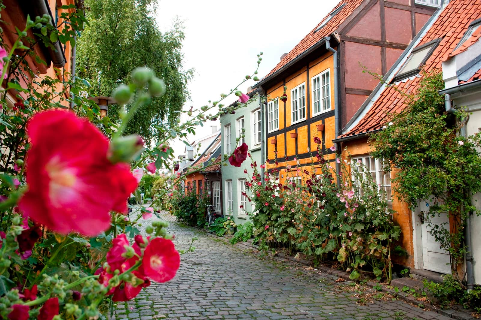 Colourful houses in Aarhus, Denmark