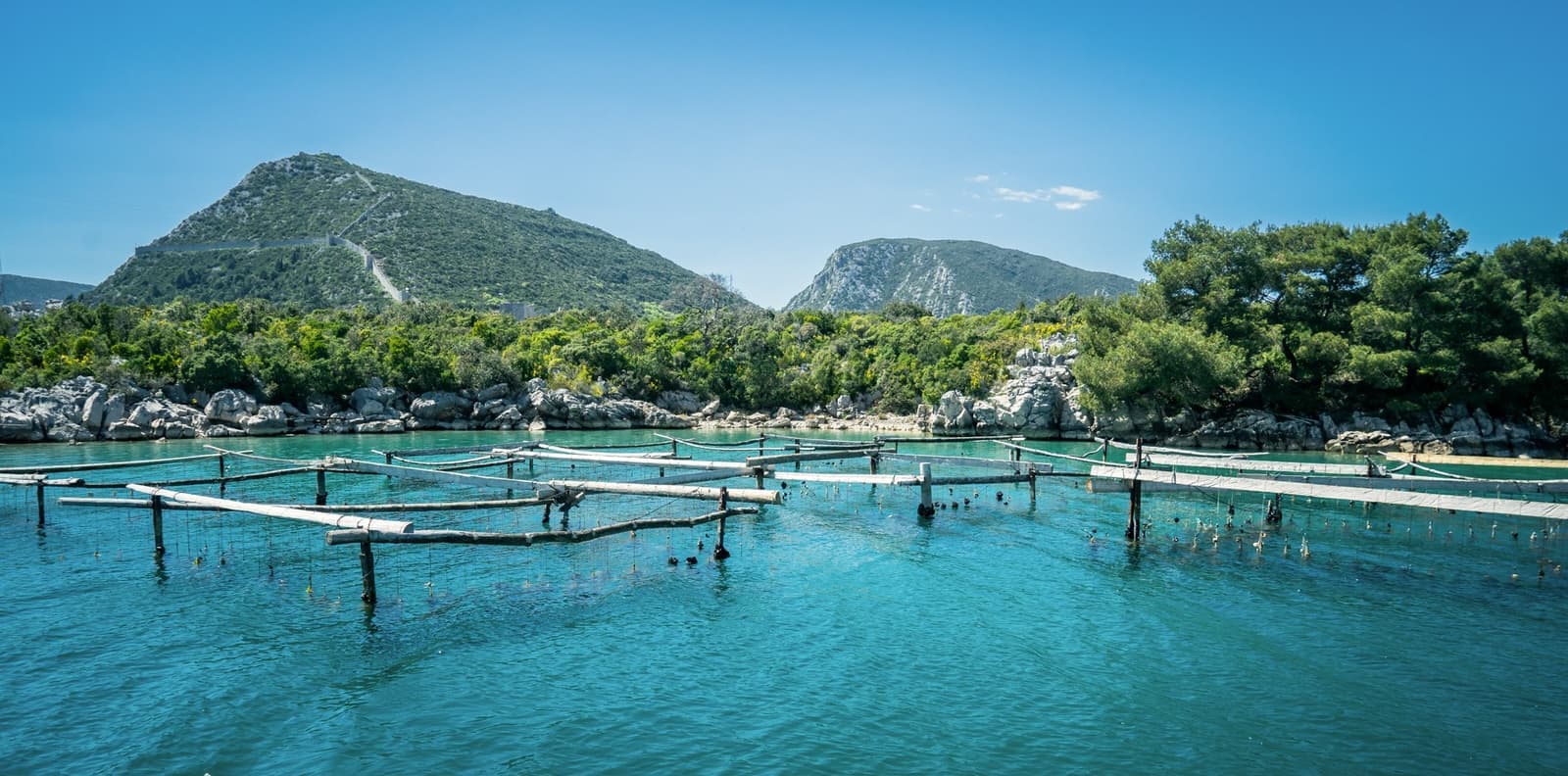 Visit an Oyster farm Ston Croatia