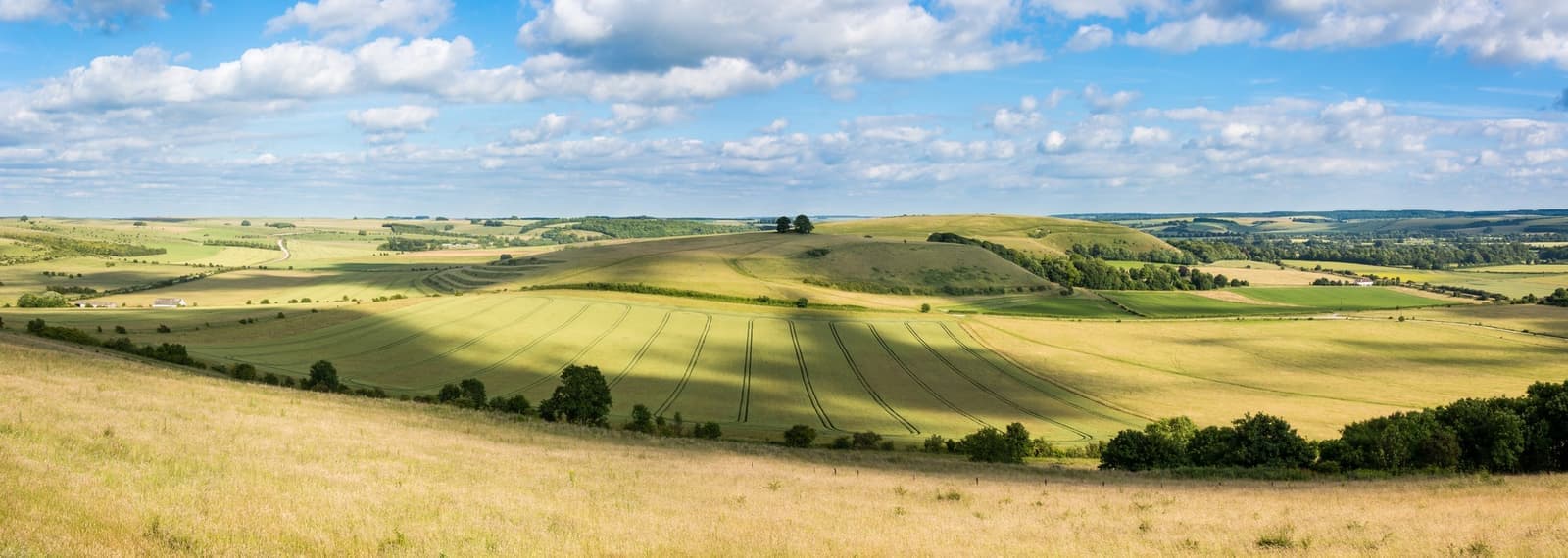 Scenic view of Salisbury Plain, Salisbury, England