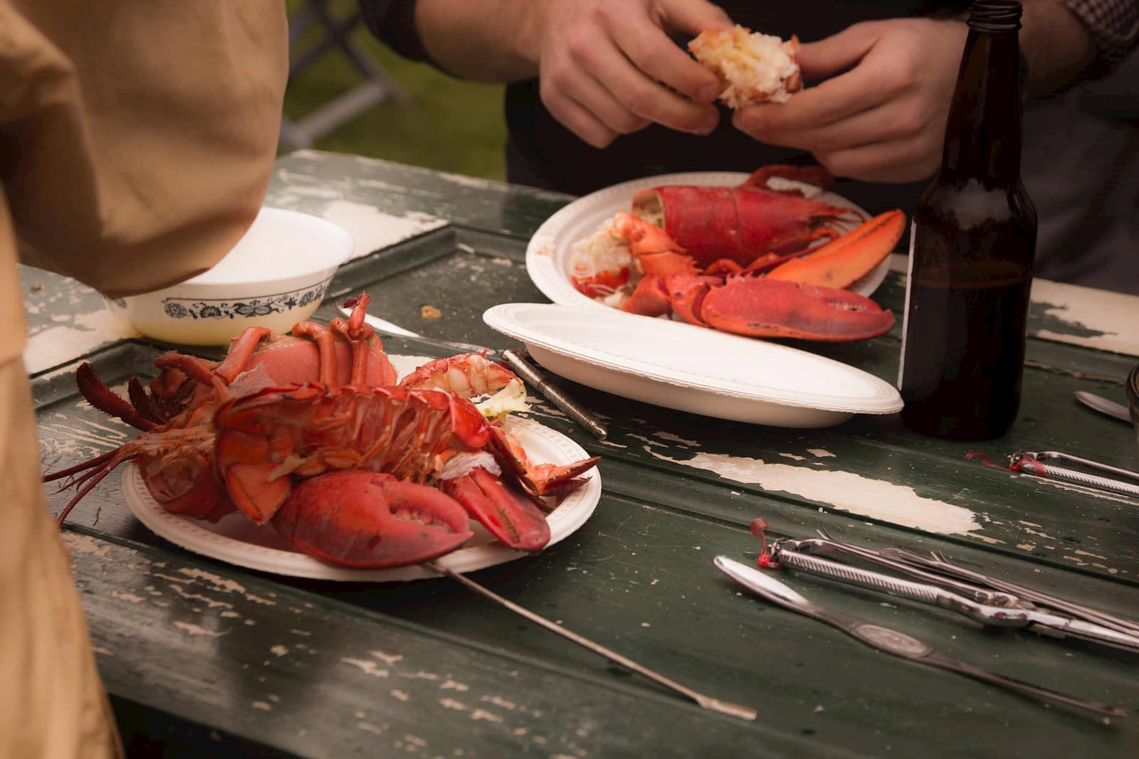 Plated Lobsters in Shediac Bay, New Brunswick, Canada