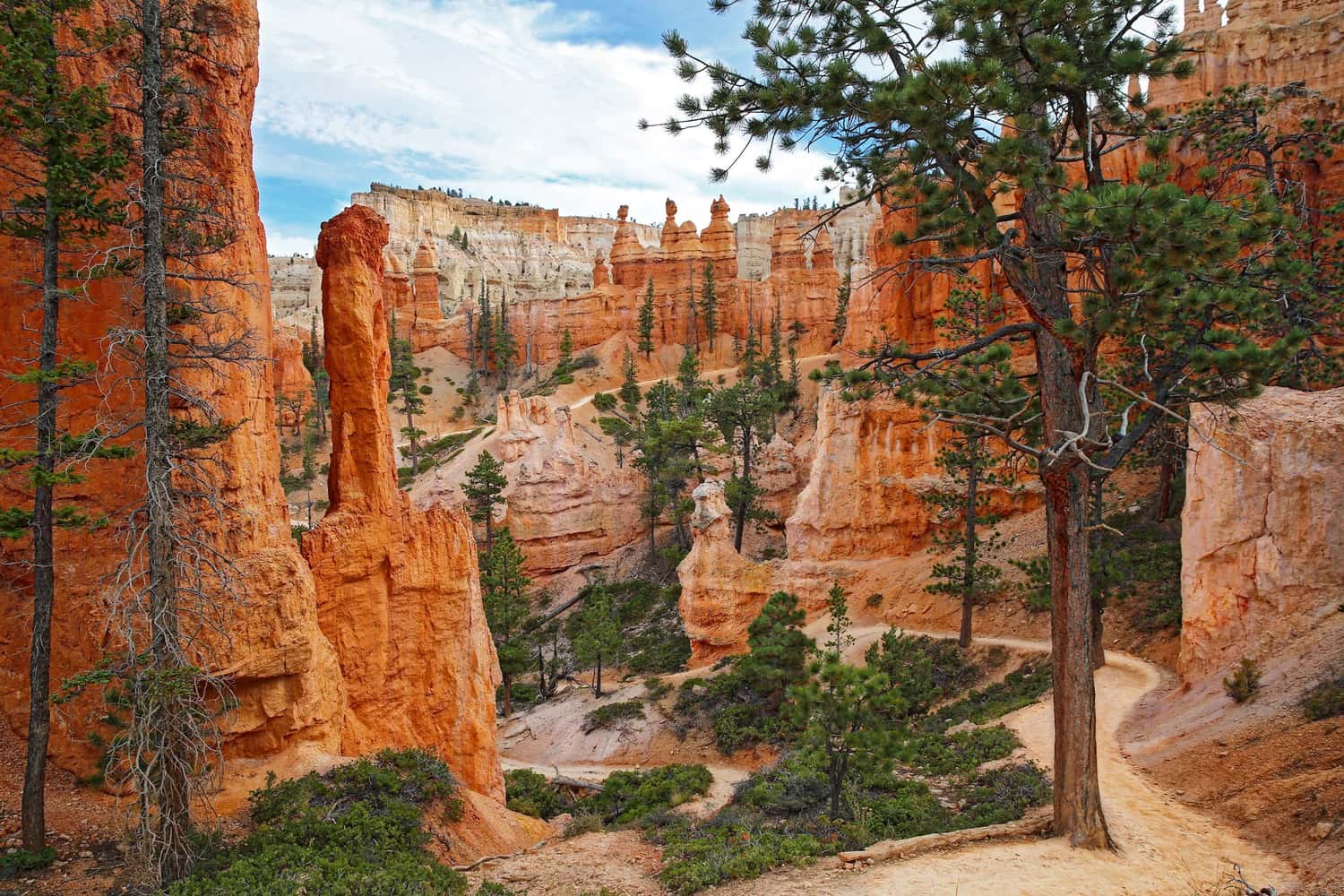 Peekaboo trail through the Hoodoos, Bryce Canyon National Park, USA