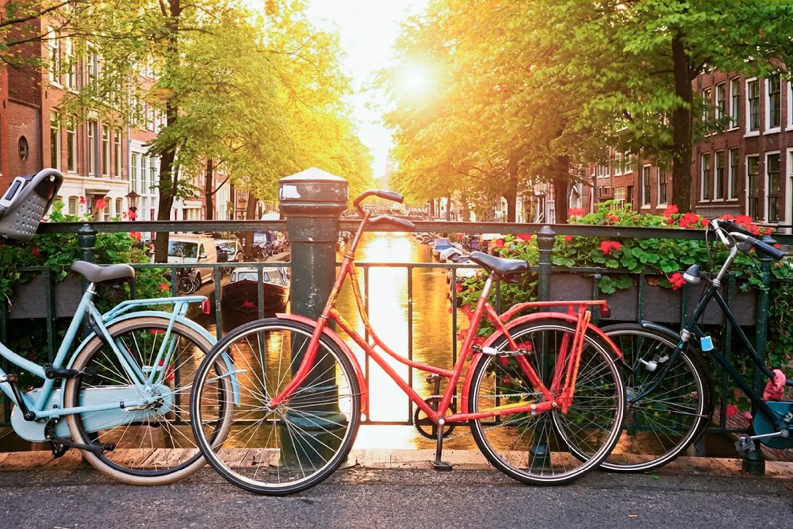 Bicycles parked on a canal bridge in Amsterdam, Netherlands, with canal houses and trees along the waterway.