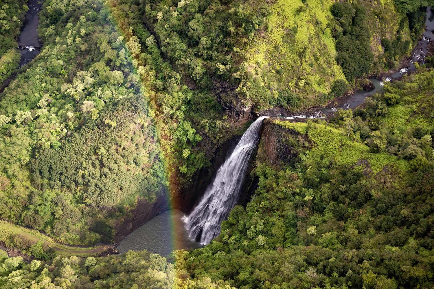 view-manawaiopuna-falls-hawaii