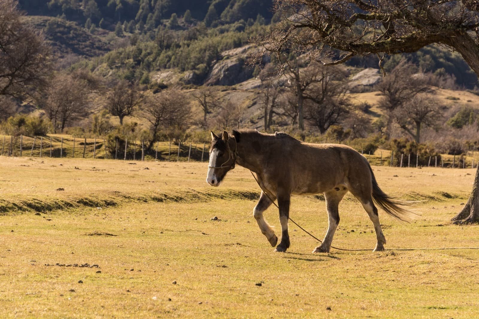 Sightseeing Torres Del Paine, Chile