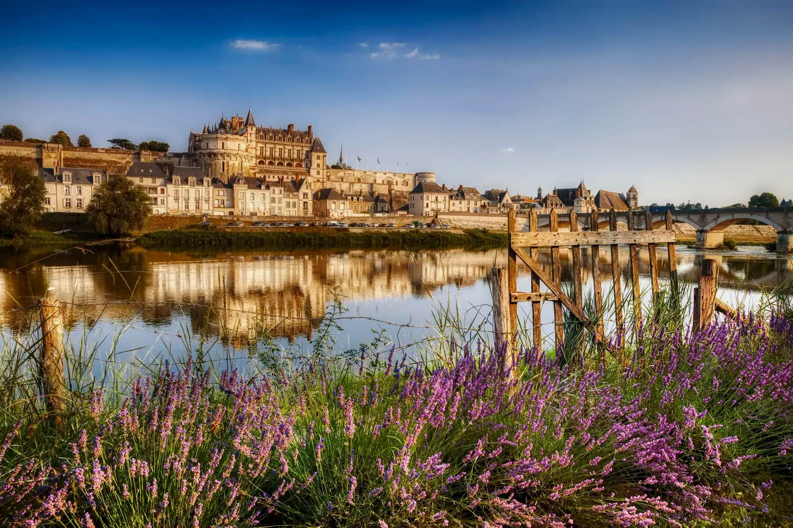 The Château d'Amboise in France reflected in the Loire River behind purple lavender flowers.