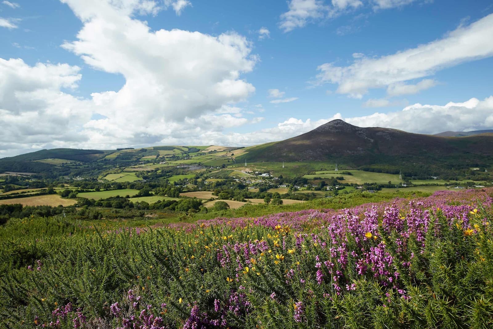 The Sugarloaf Mountain in Co. Wicklow, Ireland