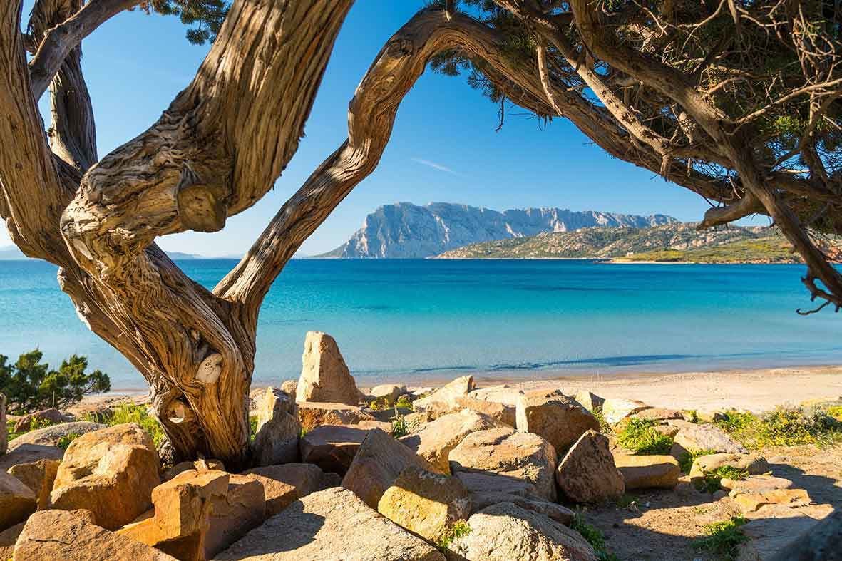 Punta Capo Coda Cavallo Beach in San Teodoro, Sardinia