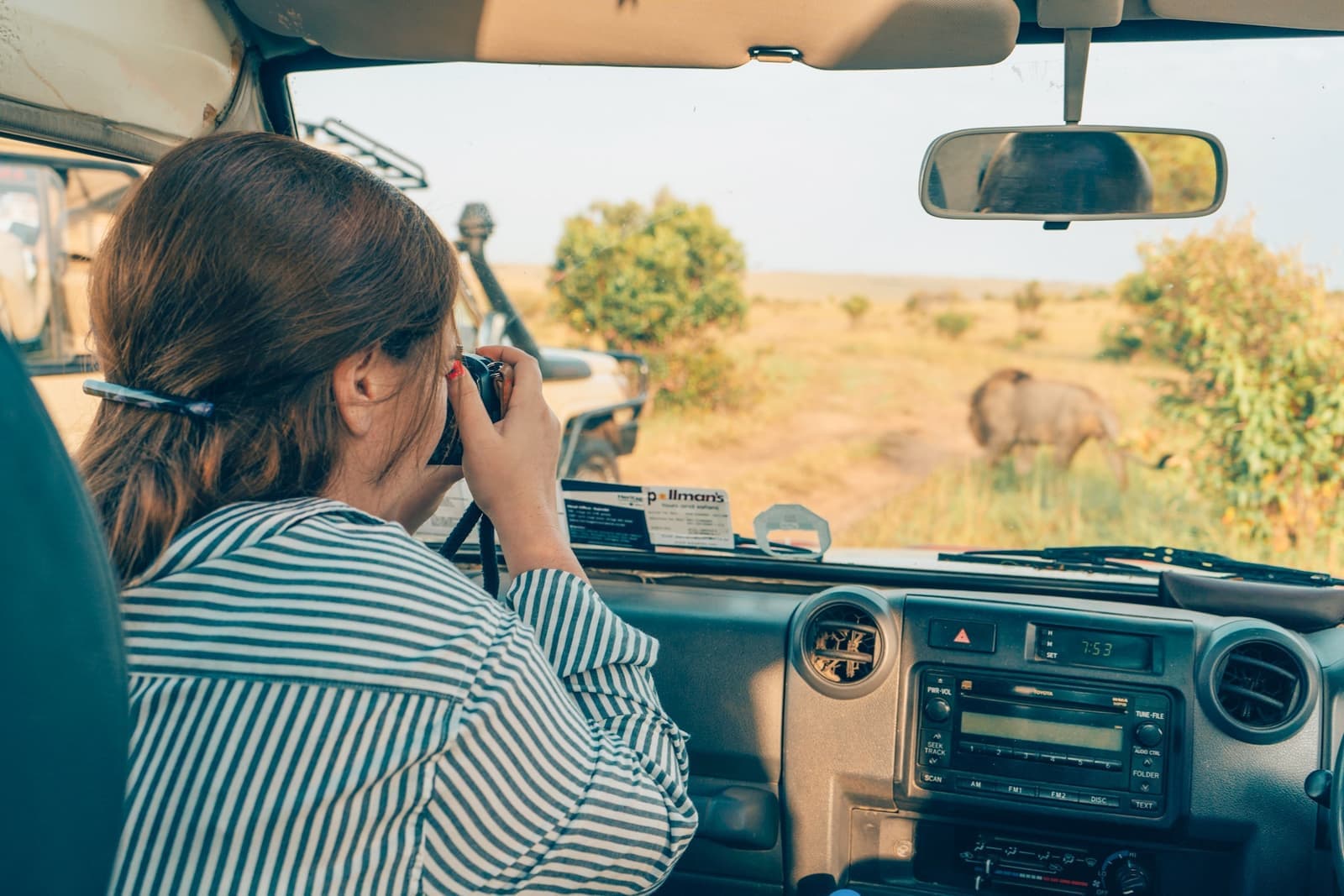 Traveller taking a photo of a lion on the Serengeti in Tanzania