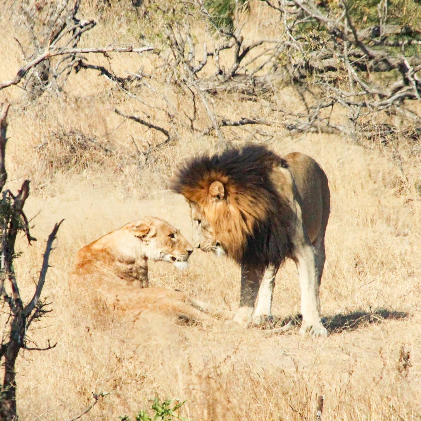 Wildlife in Arusha National Park, Tanzania