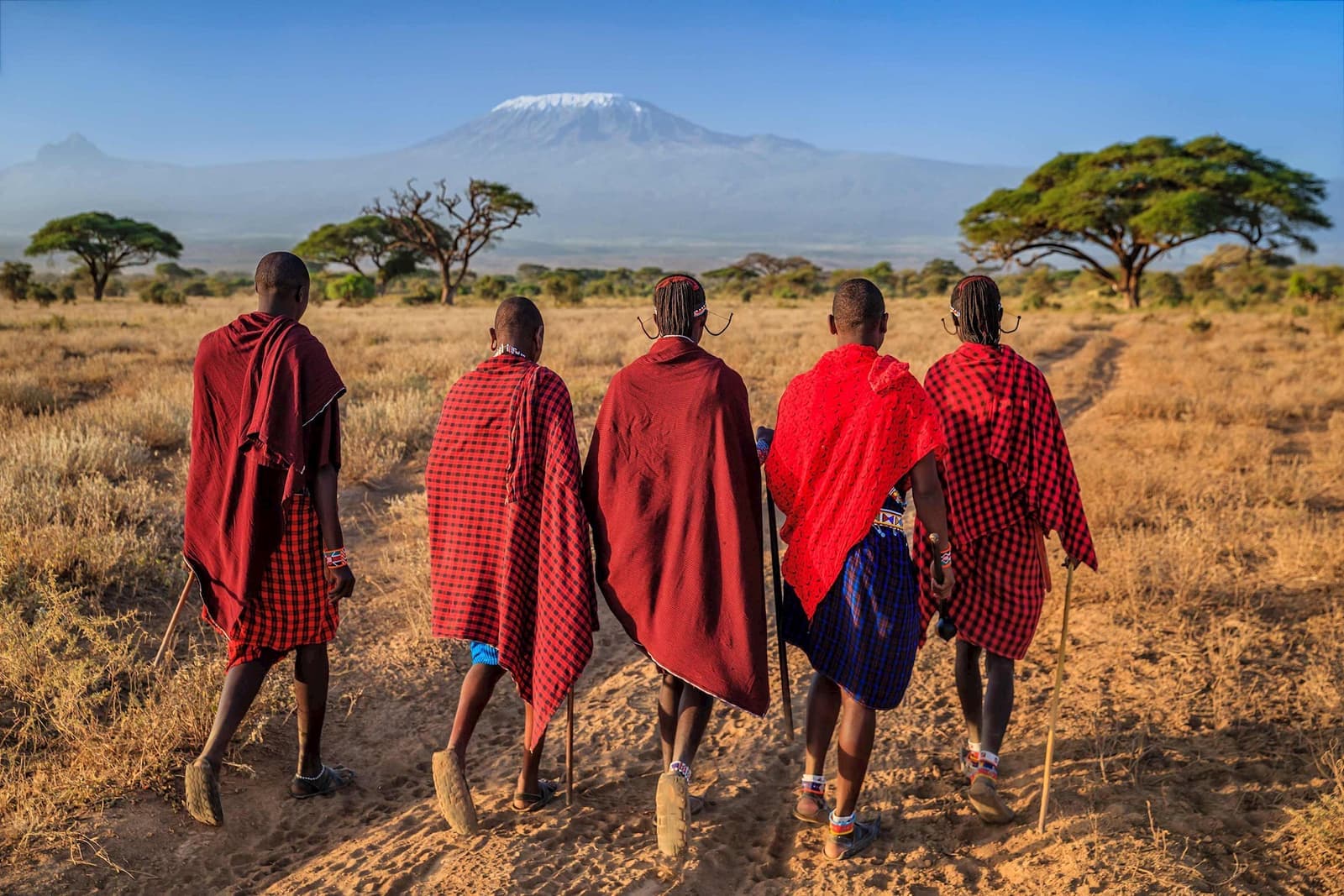 A group of five warriors in Maasai Mara, Kenya