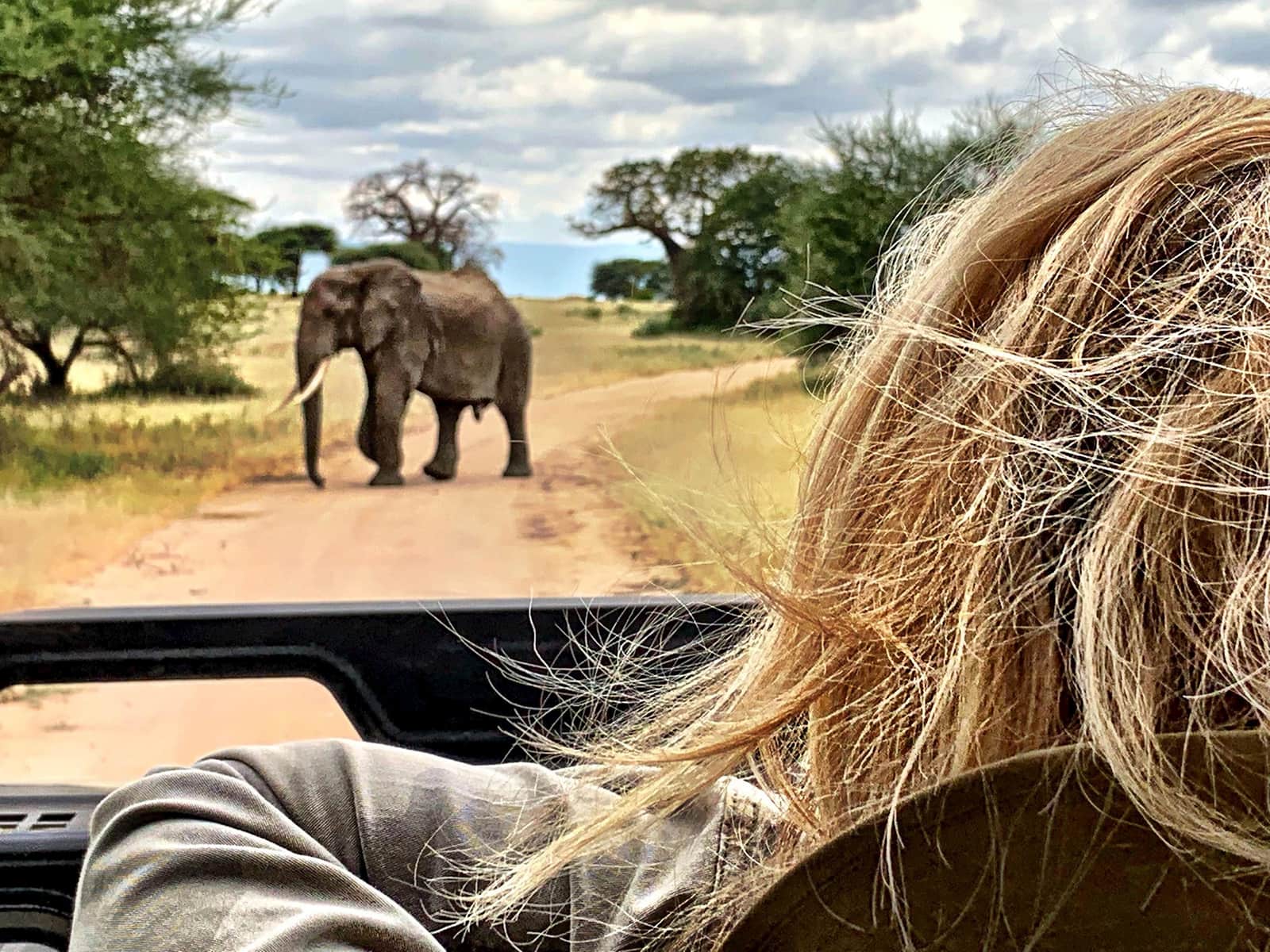 A person looking at an elephant on a Tarangire National Park safari