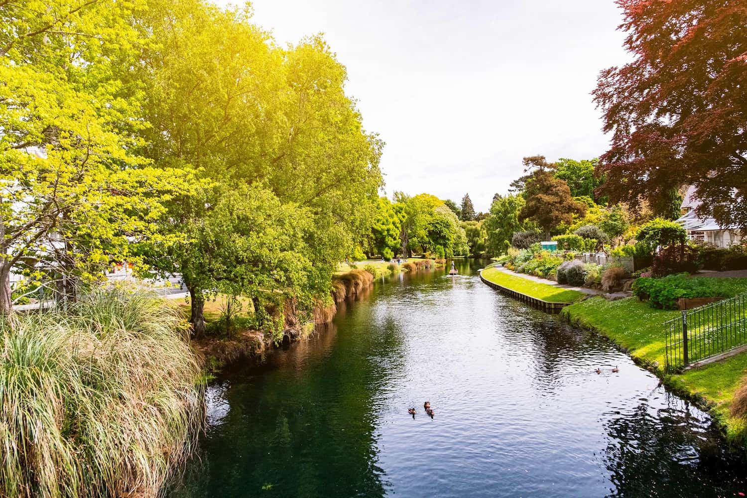 River Avon Christchurch