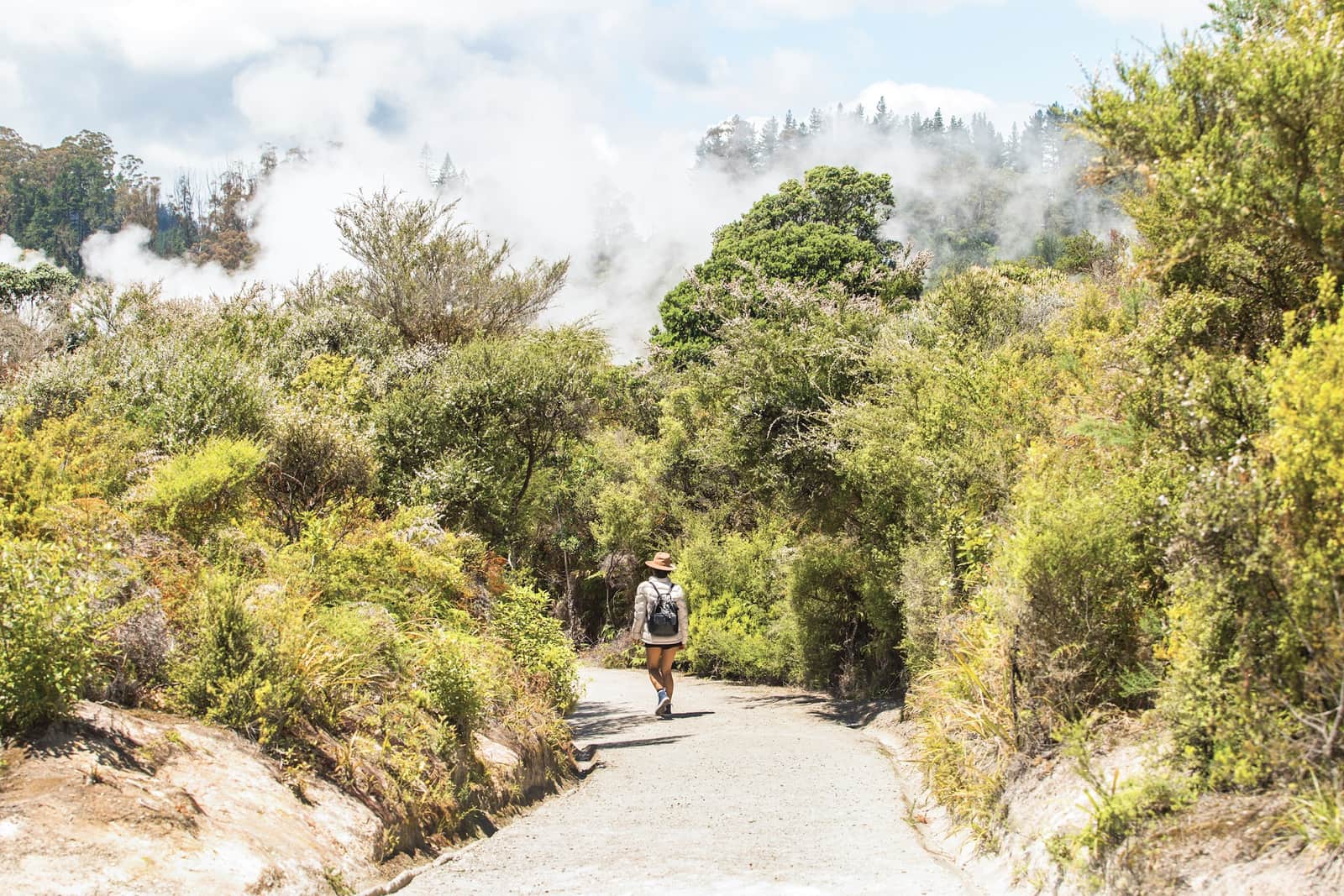 Traveller walking through Rotorua Steam Forest in Rotorua, New Zealand
