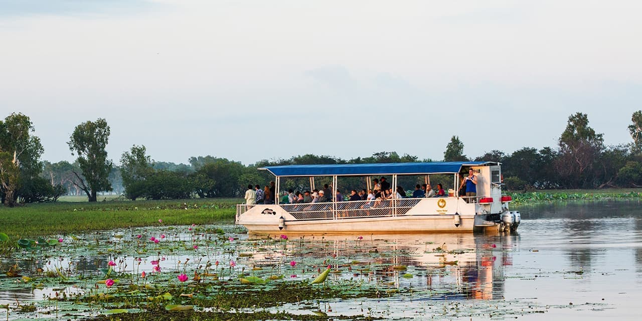 Yellow Water Billabong Cruise