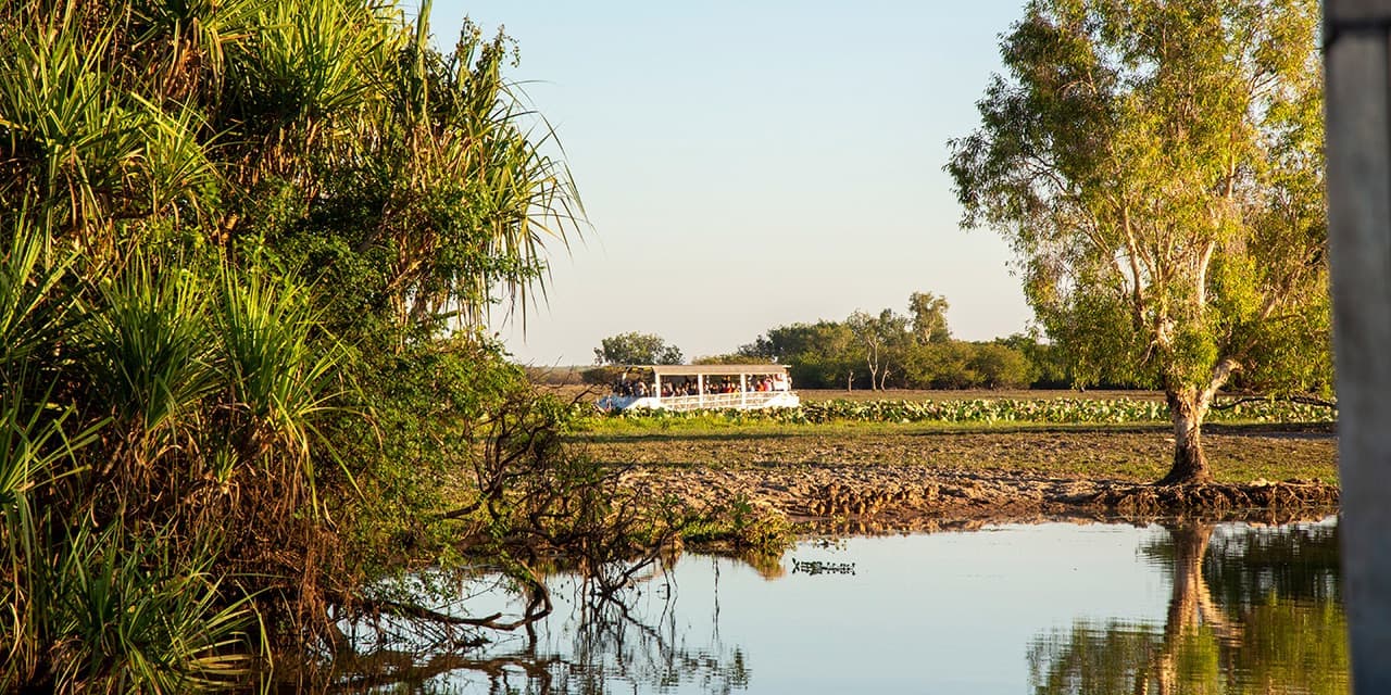 Yellow Water Billabong Cruise Kakadu National Park Credit Tourism Australia