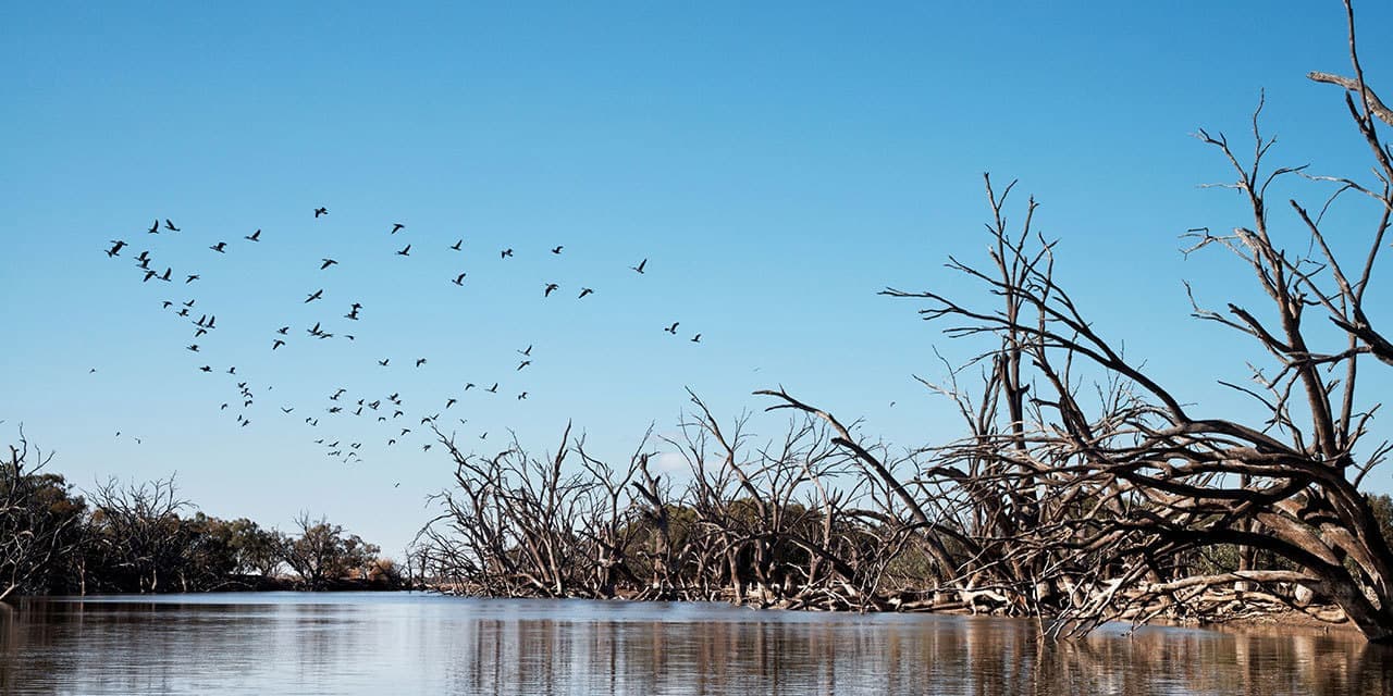 Menindee Lakes - Credit: Destination NSW