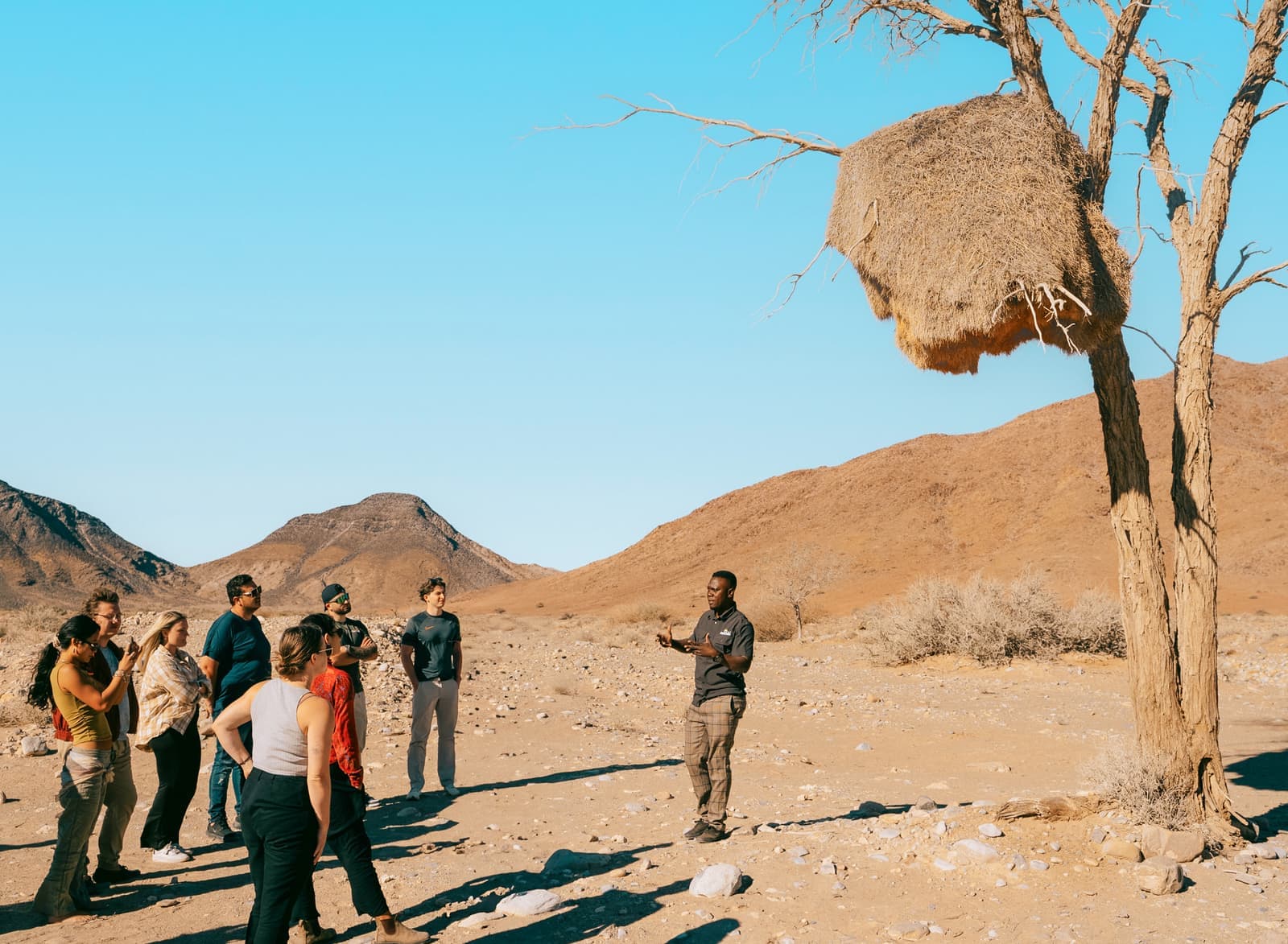 Travellers standing in Etosha National Park with a guide