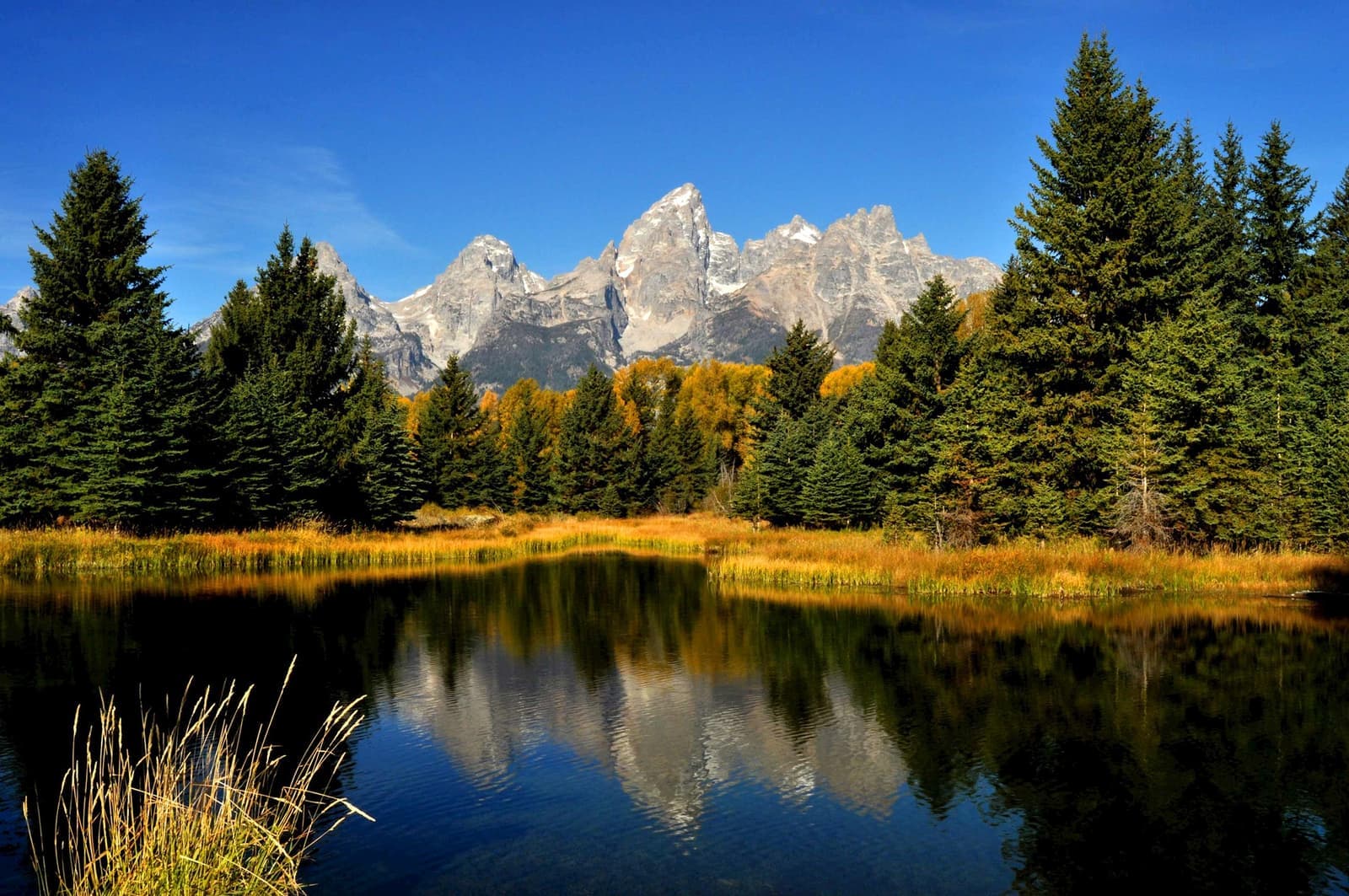 Landscape view of The Grand Tetons in Jackson, USA