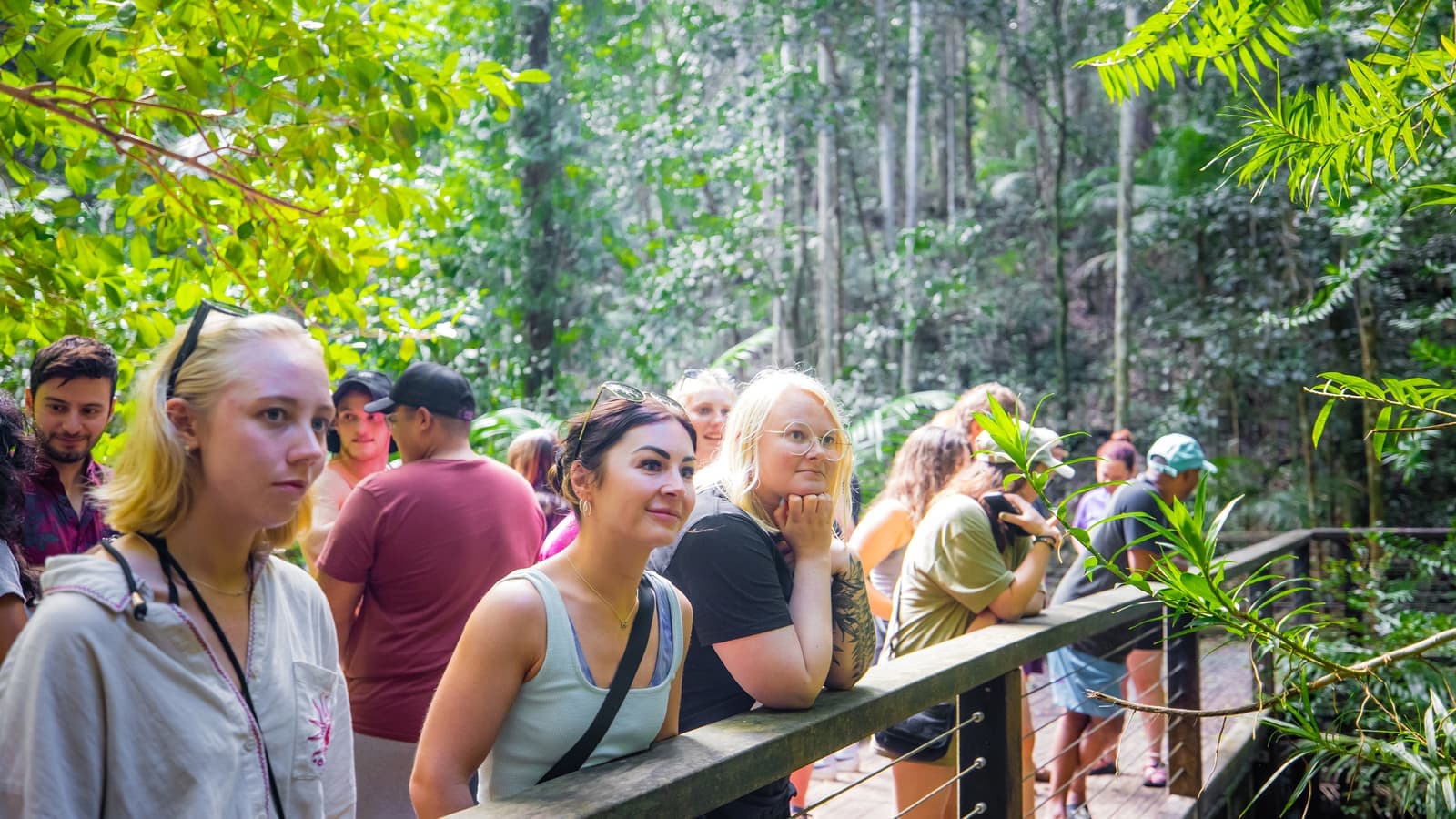 Travellers looking at forest scenery on K'Gari, Australia