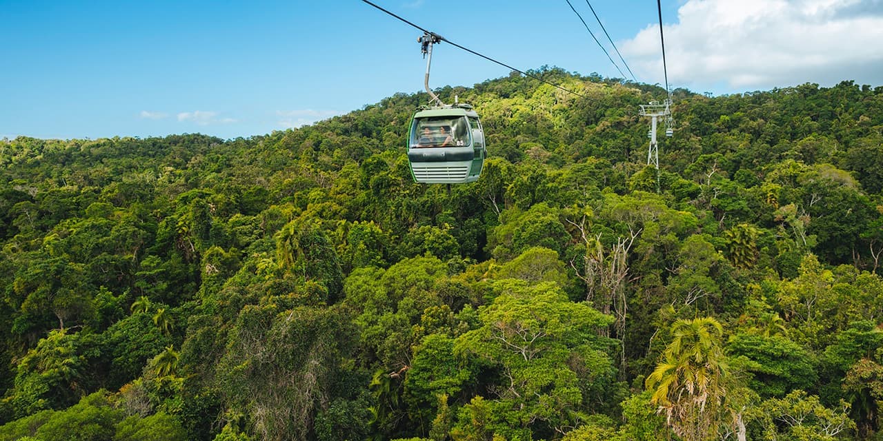 Skyrail Rainforest Cableway Cairns Credit Tourism And Events Queensland