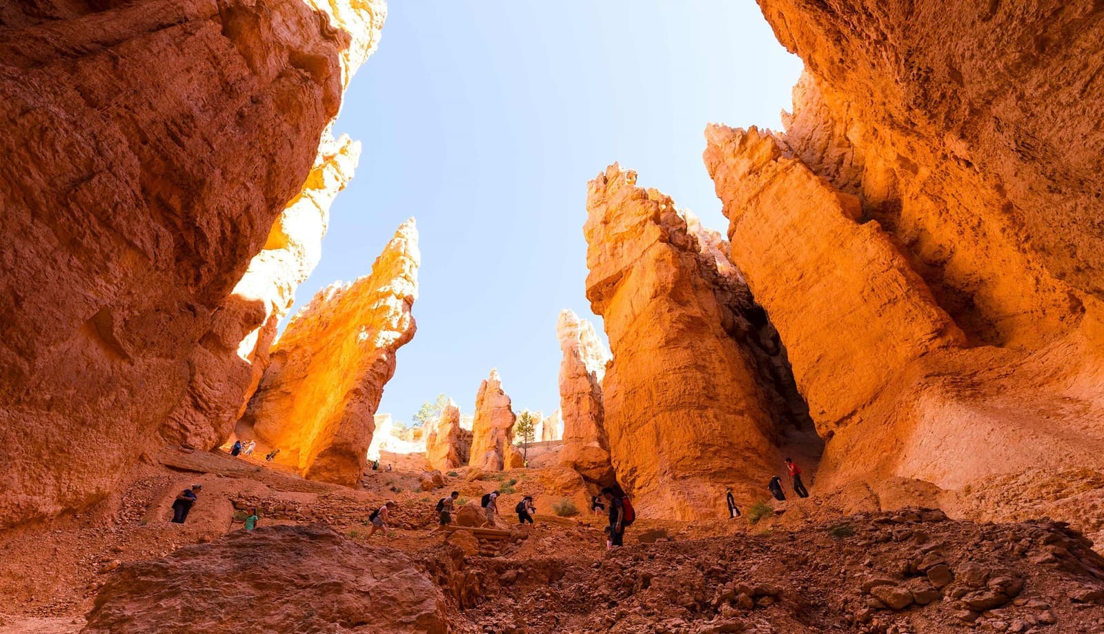 An upward view of Bryce Canyon National Park in Utah, USA