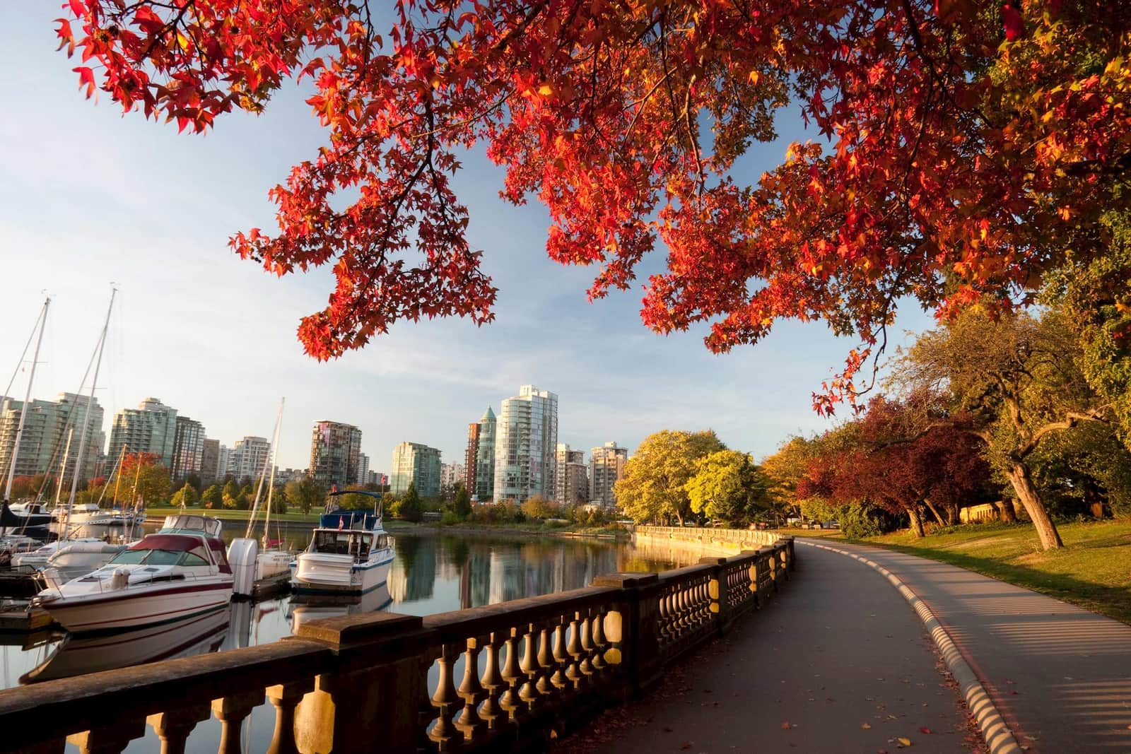 Scenic landscape view of Stanley Park in Vancouver, Canada