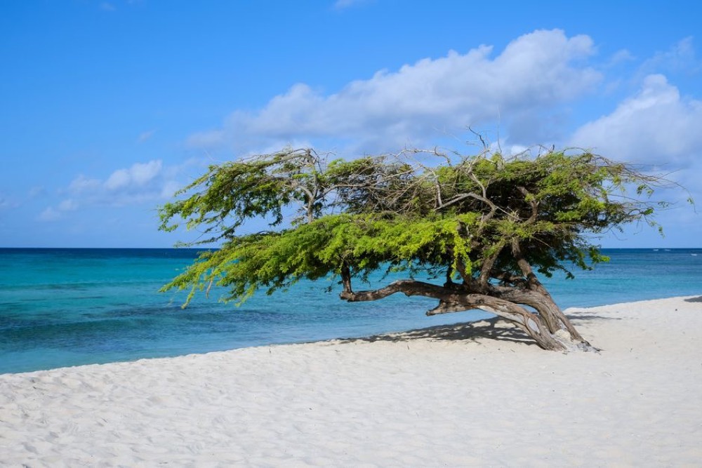Eagle Beach