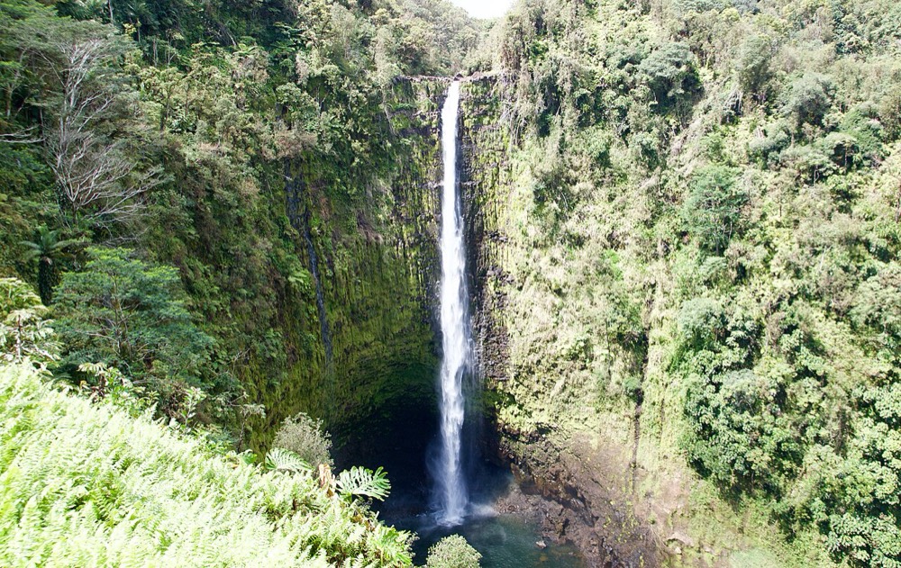 Hilo and Akaka Falls