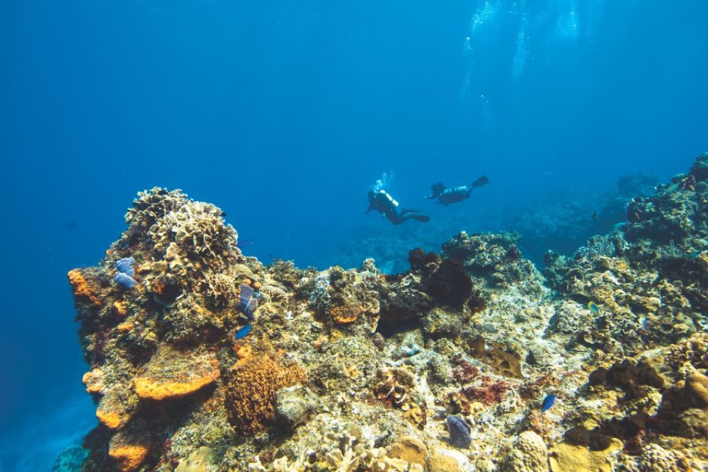 Puerto Morelos Reef National Park