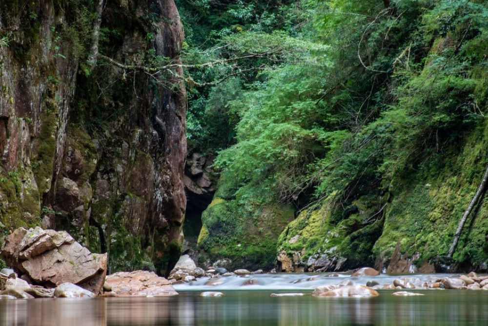 Navua River