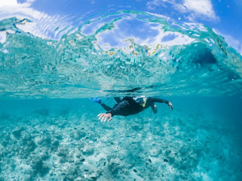 Niihau and Lehua snorkel trip