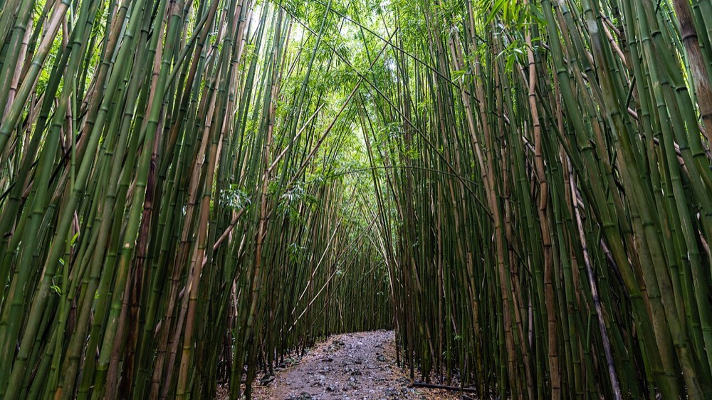 Hana and Kipahulu