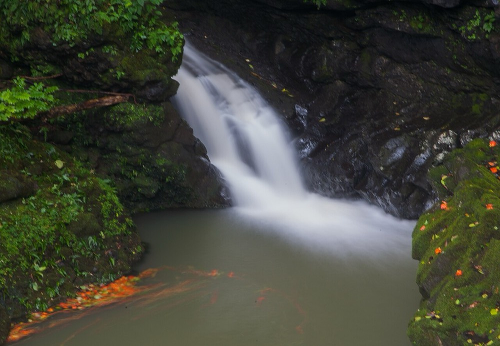 The Road to Hana