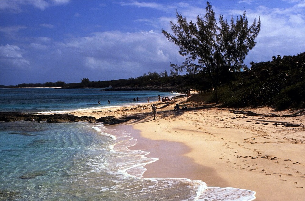 Rose Island