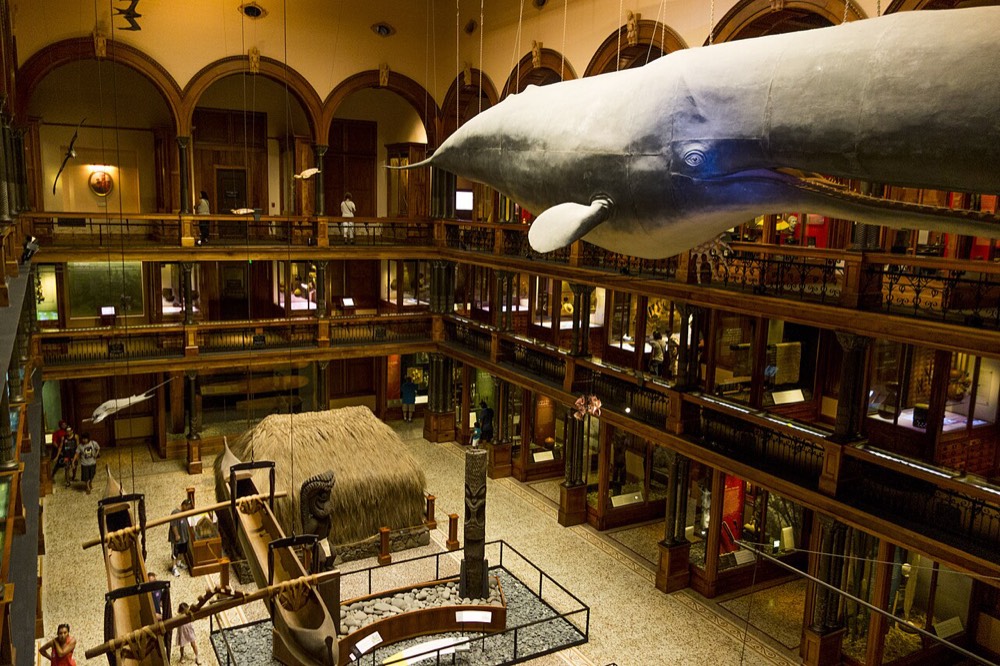 Bishop Museum