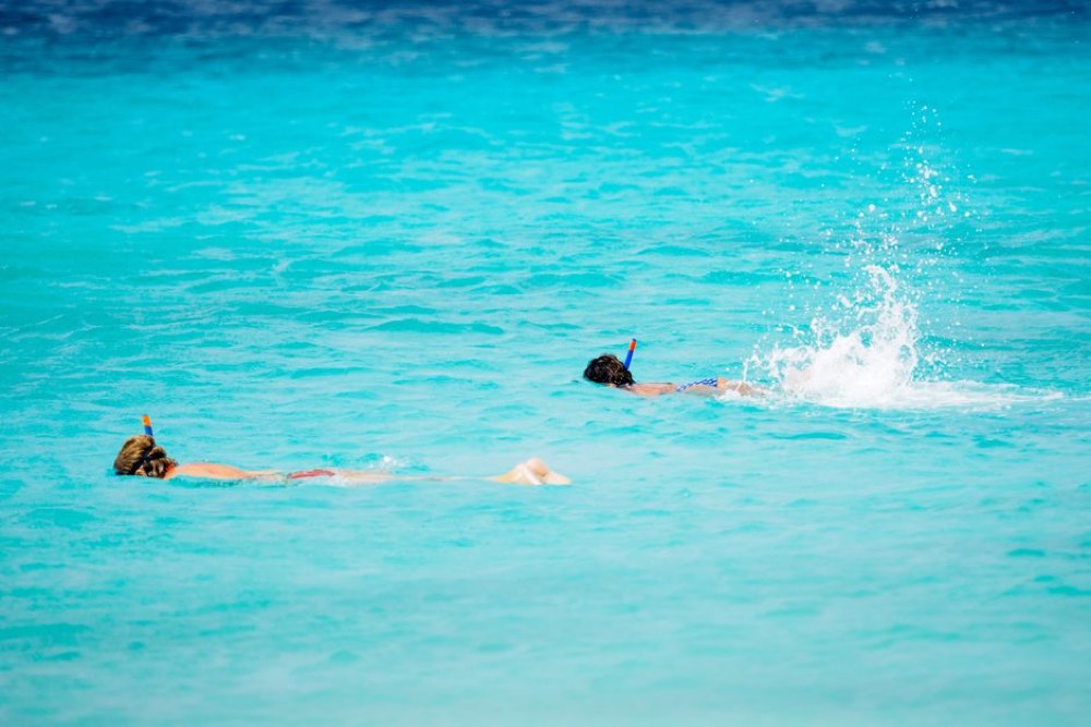 Roatan Marine Park snorkeling