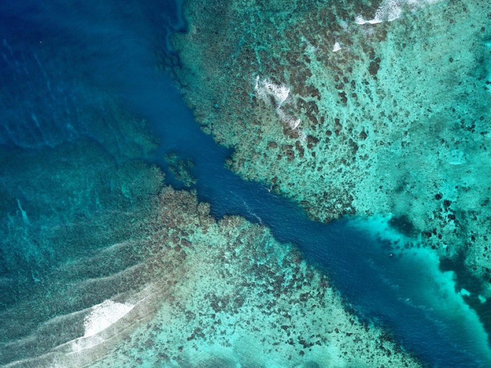 Blue Channel dive sites