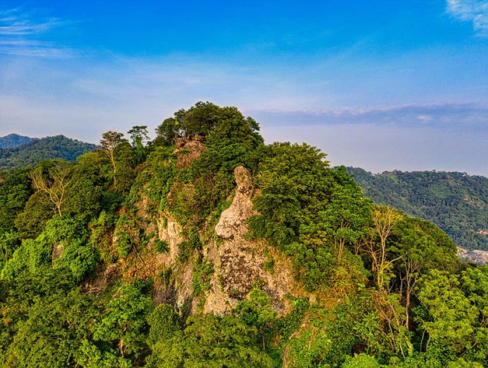 Rainforest aerial tram